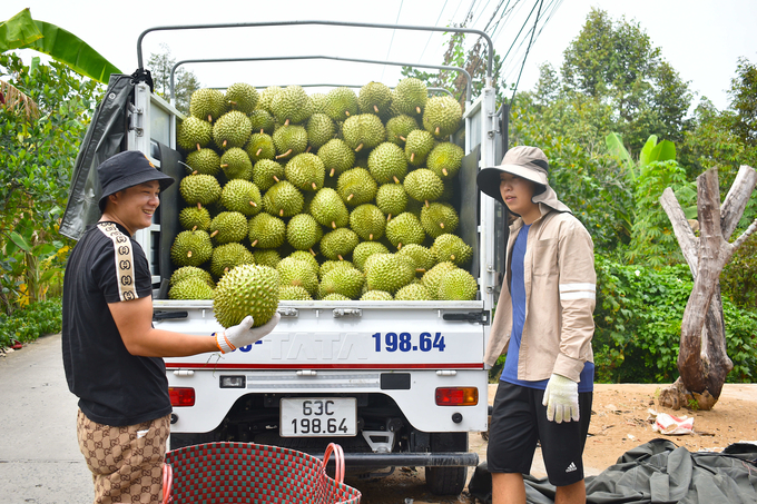 Năm 2024, ngành tập trung triển khai thực hiện tốt kết luận 359-KL/TU, đề án tái cơ cấu nông nghiệp gắn với xây dựng NTM. Ảnh: Minh Đảm.