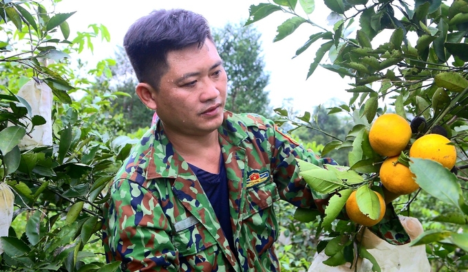 Gia đình anh Lê Văn Phương (sinh năm 1983) trú tại thôn 2, xã Hương Đô trồng 1.000 gốc cam ở đồi Khe Mây, huyện Hương Khê, trong đó chủ yếu là cam chanh. Năm nay gia đình anh Phương ước thu từ 14 - 15 tấn quả, giá bán tại vườn từ 45 - 60 ngàn đồng/kg.