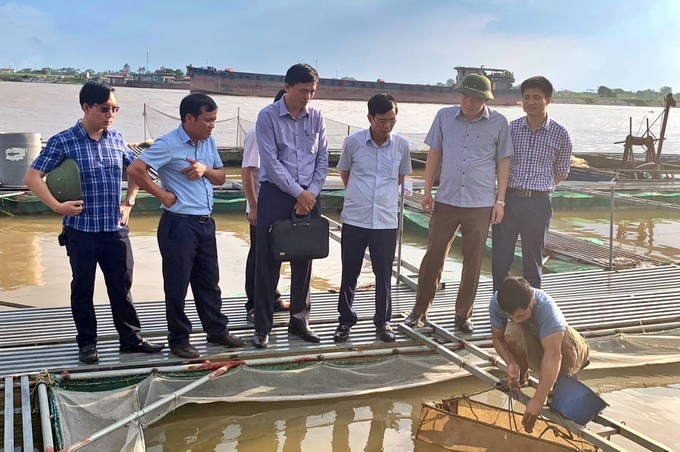 Lãnh đạo Sở Khoa học và Công nghệ Bắc Ninh thăm mô hình nuôi cá chình hoa bằng lồng trên sông.