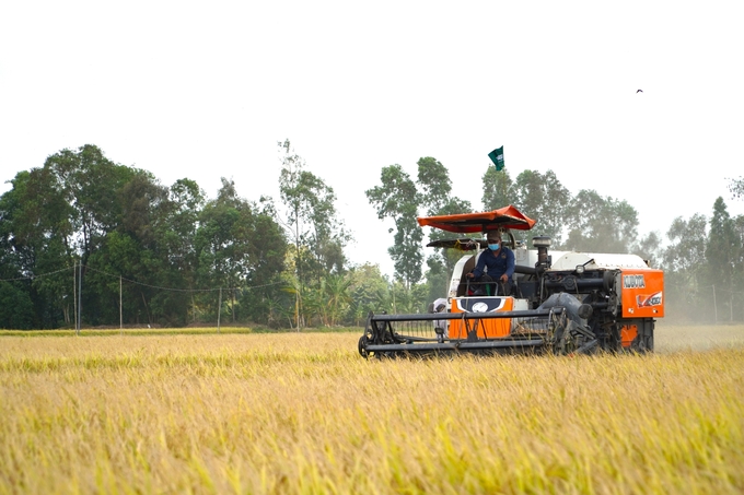 Vùng sản xuất trong Đề án 1 triệu ha lúa chất lượng cao đến năm 2030 sẽ có tỷ lệ cơ giới hóa đồng bộ đạt trên 70% diện tích. Ảnh: Kim Anh.