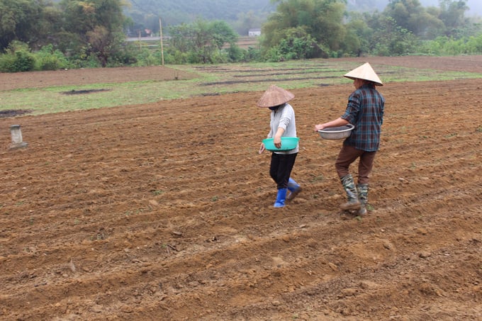 Ngành nông nghiệp Thái Nguyên chủ động triển khai kế hoạch sản xuất để vụ xuân 2024 đạt năng suất, sản lượng cao theo kế hoạch đề ra. Ảnh: Phạm Hiếu.
