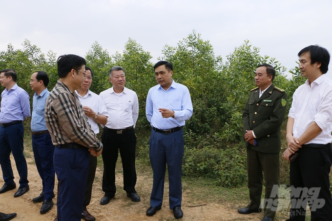 Thứ trưởng Bộ NN-PTNT Nguyễn Quốc Trị thăm mô hình trồng rừng tại tỉnh Quảng Trị. Ảnh: Võ Dũng.