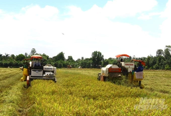Ngành nông nghiệp Hậu Giang được điều chỉnh theo hướng phát huy lợi thế của địa phương, gắn với nhu cầu thị trường, thích ứng với biến đổi khí hậu, trong đó riêng sản xuất lúa đạt sản lượng lúa 1,18 triệu tấn. Ảnh: Trung Chánh.