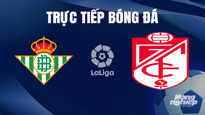 Trực tiếp bóng đá La Liga 2023/24 giữa Real Betis vs Granada hôm nay 14/1/2024