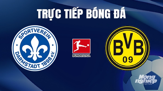 Trực tiếp bóng đá Bundesliga 2023/24 giữa Darmstadt vs Dortmund ngày 14/1/2024