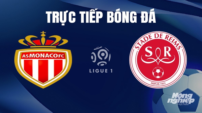 Trực tiếp bóng đá Ligue 1 (VĐQG Pháp) 2023/24 giữa Monaco vs Reims hôm nay 13/1/2024