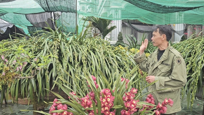Ông Lương Minh Tuấn giới thiệu về những chậu lan đặc biệt của nhà vườn. Ảnh: H.Đ.