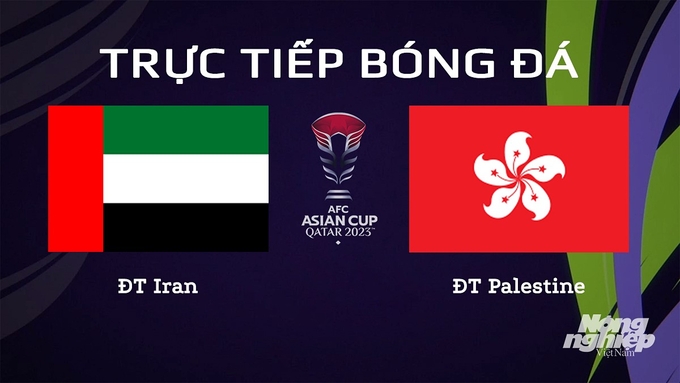 Trực tiếp bóng đá Asian Cup 2023 giữa ĐT UAE vs ĐT Hong Kong hôm nay 14/1/2024