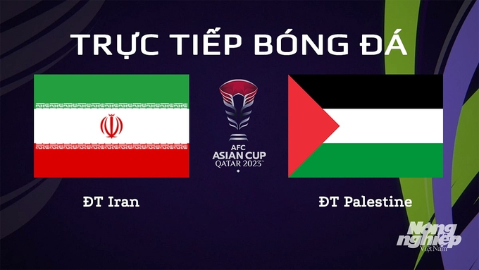 Trực tiếp bóng đá Asian Cup 2023 giữa ĐT Iran vs ĐT Palestine ngày 15/1/2024