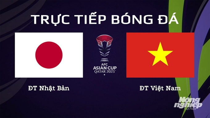 Trực tiếp bóng đá Asian Cup 2023 giữa ĐT Nhật Bản vs ĐT Việt Nam hôm nay 14/1/2024