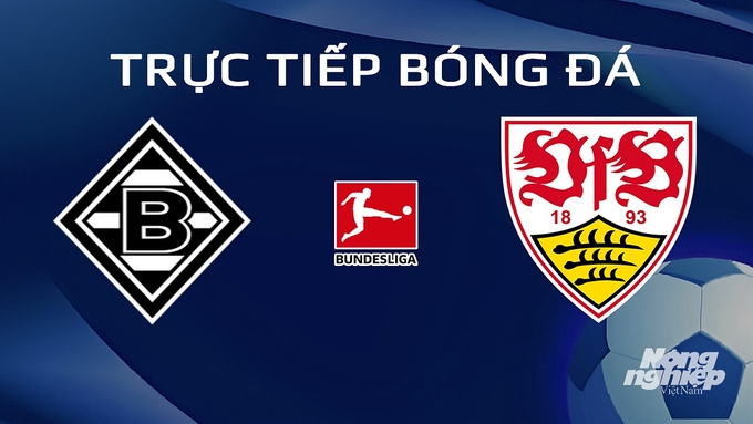 Trực tiếp bóng đá Bundesliga 2023/24 giữa Gladbach vs Stuttgart hôm nay 14/1/2024