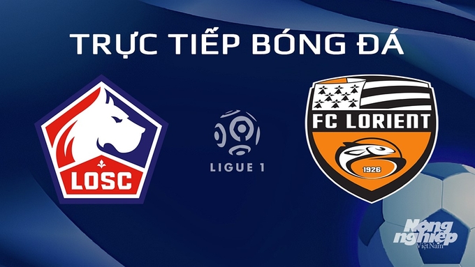 Trực tiếp bóng đá Ligue 1 (VĐQG Pháp) 2023/24 giữa Lille vs Lorient hôm nay 14/1/2024