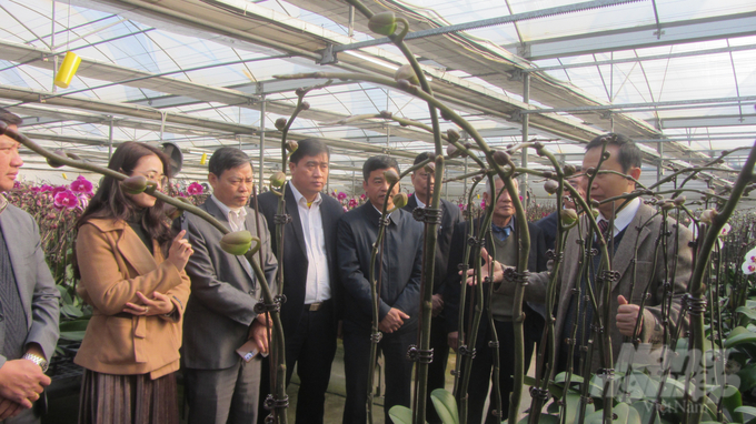 Các đại biểu tham quan mô hình trồng hoa công nghệ cao tại Viện Nghiên cứu Rau quả. Ảnh: Hải Tiến.