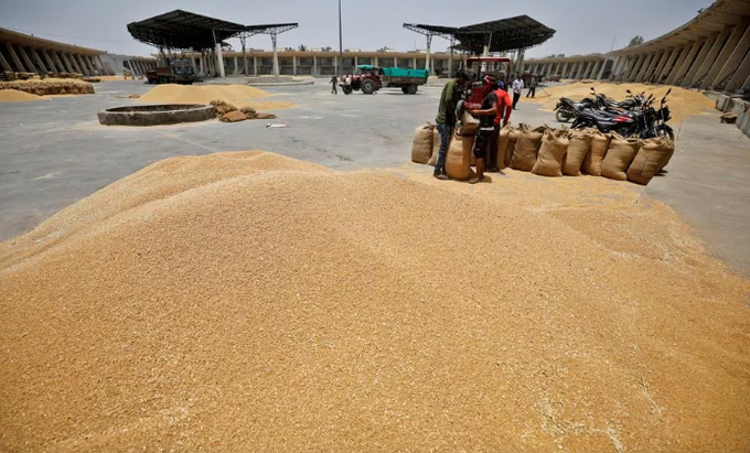 Workers fill sacks with wheat at the market yard of the Agriculture Product Marketing Committee (APMC) on the outskirts of Ahmedabad, India, May 16, 2022. Photo: REUTERS/Amit Dave
