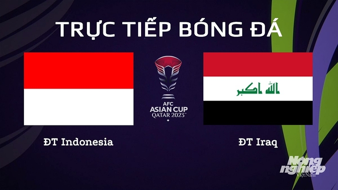 Trực tiếp bóng đá Asian Cup 2023 giữa ĐT Indonesia vs ĐT Iraq hôm nay 15/1/2024