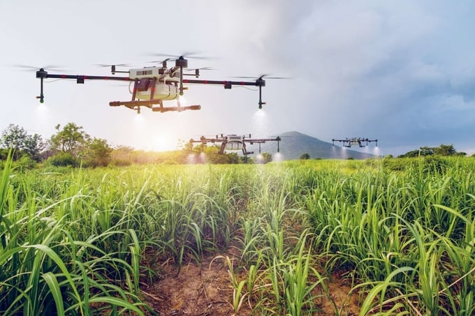 Ứng dụng máy bay không người lái (Drone) sạ sục sạc, sạ đậu, phun phân bón lá… theo quy trình canh tác và quản lý nông nghiệp công nghệ cao tại các vùng nguyên liệu của TTC AgriS.