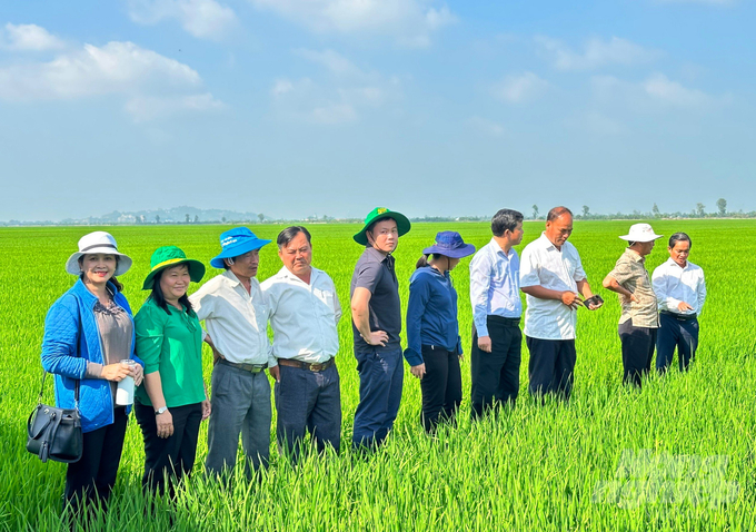 Ông Nguyễn Ngọc Huấn (thứ 3 từ phải sang) - Giám đốc HTX Khiết Tâm hướng dẫn đoàn cán bộ lãnh đạo Cục Bảo vệ thực vật (Bộ NN-PTNT) thăm cánh đồng sản xuất lúa đông xuân 2024 của HTX. Ảnh: Lê Hoàng Vũ.