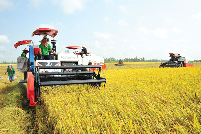 The mechanization capability of Vietnamese agriculture is still limited. Photo: TL.