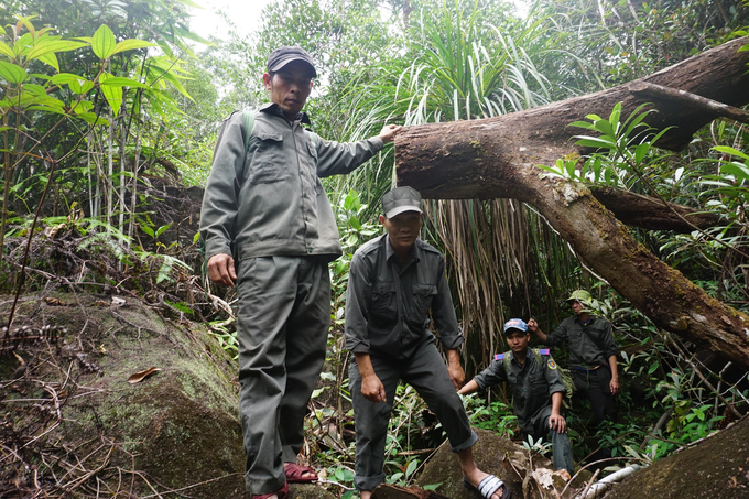 Lực lượng bảo vệ rừng Sơn Thái tuần tra rừng. Ảnh: BL.