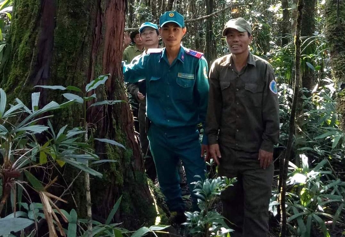 Lực lượng bảo vệ rừng của Công ty TNHH MTV Lâm nghiệp Trầm Hương nỗ lực tuần tra rừng. Ảnh: KS.