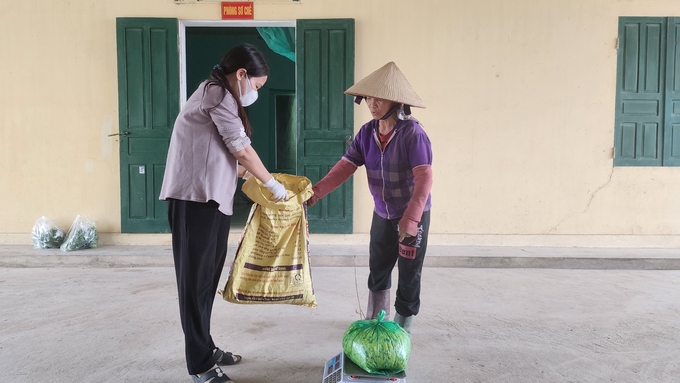 Bà Bùi Thị Tươi, trú tại thôn Hà Phương, mang những túi hoa cúc chi cuối vụ đến HTX Thắng Thủy để bán. Ảnh: Đinh Mười.