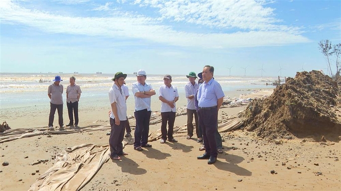 Phó Chủ tịch UBND tỉnh Trà Vinh Nguyễn Trung Hoàng kiểm tra tình trạng sạt lở tại huyện Duyên Hải. Ảnh: UBND tỉnh Trà Vinh.