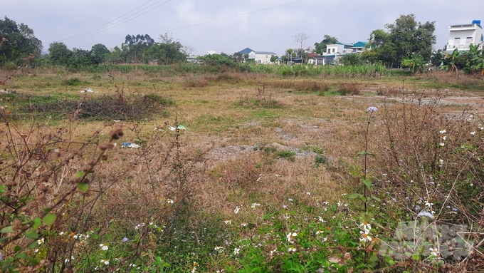 Bên cạnh đó, Móng Cái là thành phố biên giới, cửa khẩu, cơ cấu kinh tế ngành công nghiệp, thương mại dịch vụ chiếm tỷ trọng cao. Đặc biệt, sau 3 năm bị ảnh hưởng của dịch bệnh Covid-19, các hoạt động thương mại, du lịch sôi động trở lại đã thu hút số lượng lớn lao động khu vực nông thôn làm việc trong lĩnh vực này.