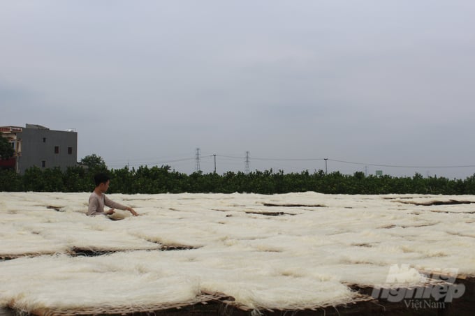 Phơi khô sợi miến ở làng nghề truyền thống chế biến miến dong Lại Trạch. Ảnh: Hải Tiến.