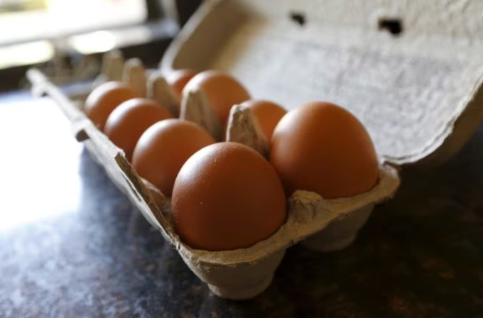 Brown eggs are shown in their carton in a home in Palm Springs, California August 17, 2015. Photo:  REUTERS/Sam Mircovich