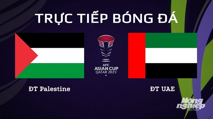 Trực tiếp bóng đá Asian Cup 2023 giữa ĐT Palestine vs ĐT UAE ngày 19/1/2024