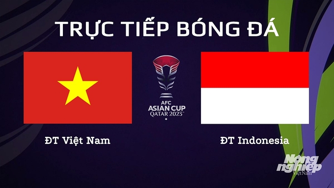 Trực tiếp bóng đá Asian Cup 2023 giữa ĐT Việt Nam vs ĐT Indonesia hôm nay 19/1/2024