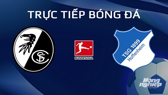 Trực tiếp bóng đá Bundesliga 2023/24 giữa Freiburg vs Hoffenheim hôm nay 20/1/2024