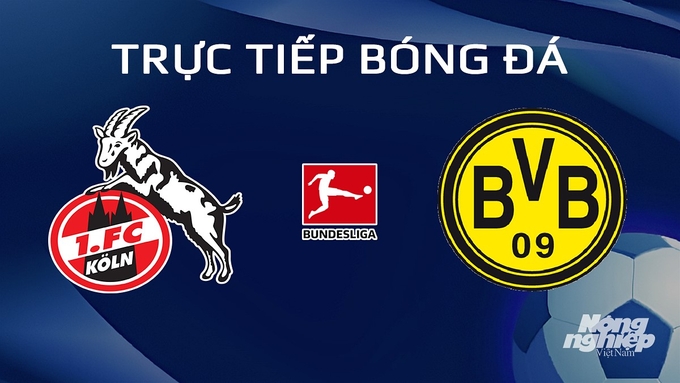 Trực tiếp bóng đá Bundesliga 2023/24 giữa Koln vs Dortmund hôm nay 20/1/2024