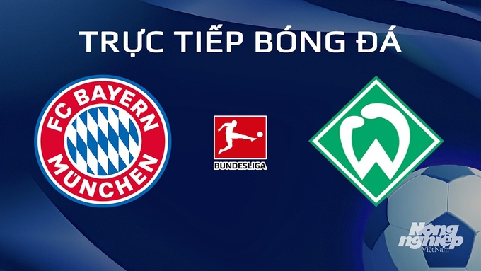 Trực tiếp bóng đá Bundesliga 2023/24 giữa Bayern Munich vs Werder Bremen hôm nay 21/1/2024