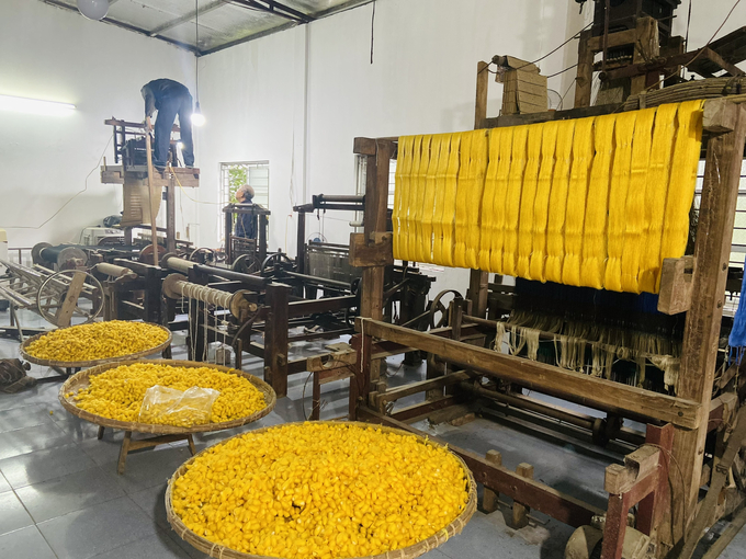 Ngành dâu tằm tơ Việt Nam chủ yếu sản xuất kén, chế biến tơ thô. Ảnh: Phương Thảo.
