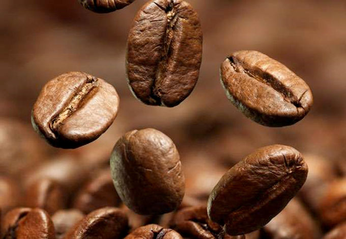 Giá cà phê Robusta trong nước và trên thế giới đều đang ở mức cao nhất trong lịch sử.