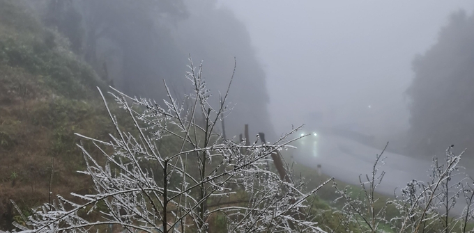 Tuyến quốc lộ 4D qua đèo Ô Quý Hồ có sương mù dày đặc, hạn chế tầm nhìn của lái xe. Ảnh: Ngọc Quân.