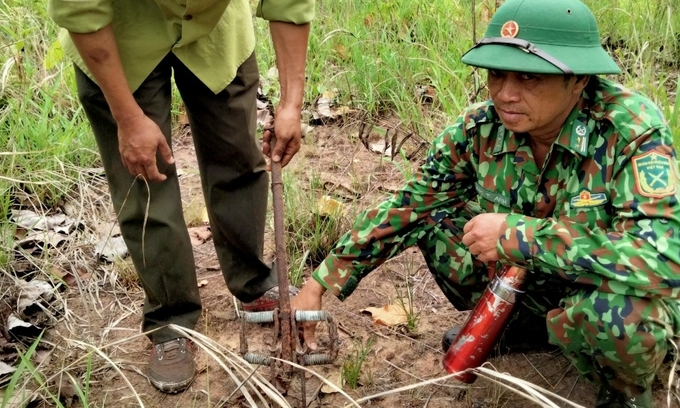 Lực lượng kiểm lâm Vườn quốc gia Yok Đôn tích cực tháo gỡ bẫy thú trên địa bàn quản lý.