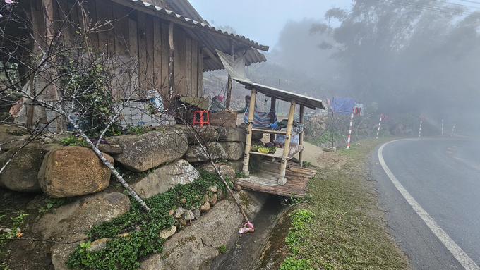 Cách đó không xa là một điểm bán đào khác. Sương mù dày đặc với hàng đào ven đường, tạo nên khung cảnh đẹp chỉ có thể bắt gặp trong những chuyến đi vùng cao ở Tây Bắc. 