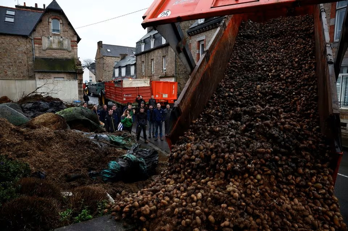 Nông dân Pháp đổ khoai tây và rác để chặn đường trong các cuộc biểu tình hôm 24/1. Ảnh: Reuters.
