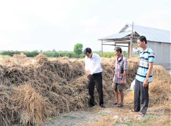 Công ty Âu Á đã ký các hợp đồng kinh tế với 9 Hợp tác xã nông nghiệp trên địa bàn huyện An Minh, để liên kết sản xuất và thu mua lúa, với tổng diện tích thực hiện liên kết là 861,8 ha nhưng sau đó không thực hiện, khiến không ít hộ gặp khó khăn trong khâu tiêu thụ lúa. Ảnh: Trung Chánh.