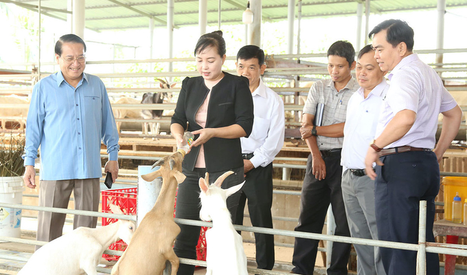 Ông Phạm Văn Trọng (áo xanh) tham quan hoạt động nuôi dê sữa kết hợp du lịch nông nghiệp tại Hợp tác xã Đông Nghi. Ảnh: Minh Đảm.