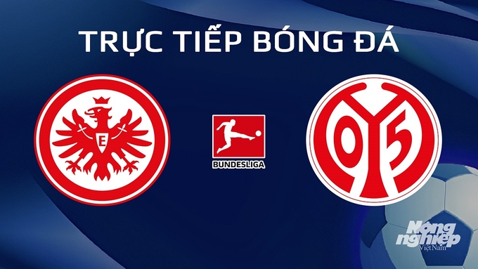 Trực tiếp bóng đá Bundesliga 2023/24 giữa Eintracht Frankfurt vs Mainz 05 hôm nay 27/1/2024