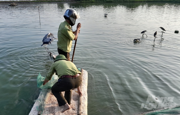 Nam Định chỉ đạo quyết liệt, tổng lực các biện pháp bảo vệ chim hoang dã.