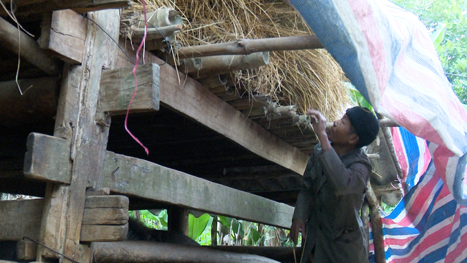 Người dân chủ động tích trữ rơm, đảm bảo thức ăn cho trâu, bò trong mùa đông. Ảnh: Đình Hợi. 