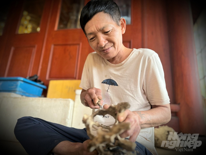 Là người vừa tham gia xoi những gốc trầm tiền tỷ vừa xoi những miếng trầm nhỏ chỉ bằng bàn tay, ông Hà Văn Nguyên, cùng ở tỉnh Quảng Bình cho hay, thu nhập dịp này từ công việc xoi trầm ước cũng đem về cho ông hơn 30 triệu đồng.