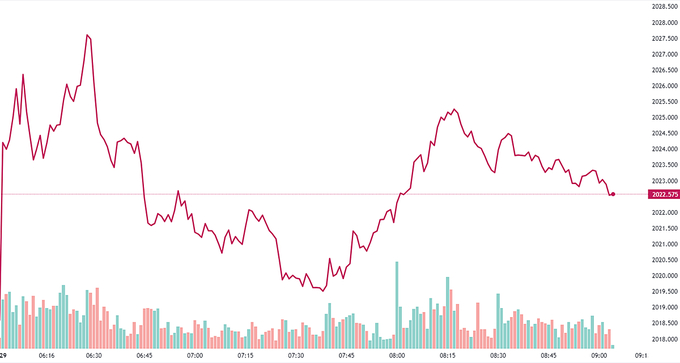 Bảng giá vàng 9999, SJC, Mi Hồng, DOJI, PNJ, Phú Quý, BTMC hôm nay 29/1/2024 (tính đến 9h00)