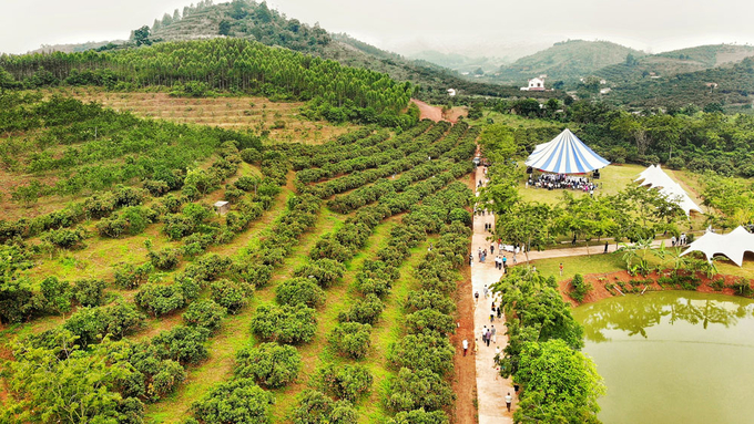 Nông dân Bắc Giang yên tâm làm du lịch nông nghiệp khi địa phương đã có sự chuẩn bị lâu dài về quy hoạch. Ảnh: Nguyễn Hưởng.