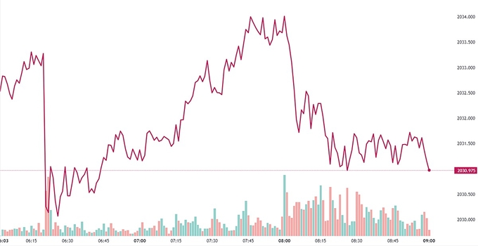 Bảng giá vàng 9999, SJC, Mi Hồng, DOJI, PNJ, Phú Quý, BTMC hôm nay 30/1/2024 (tính đến 9h00)