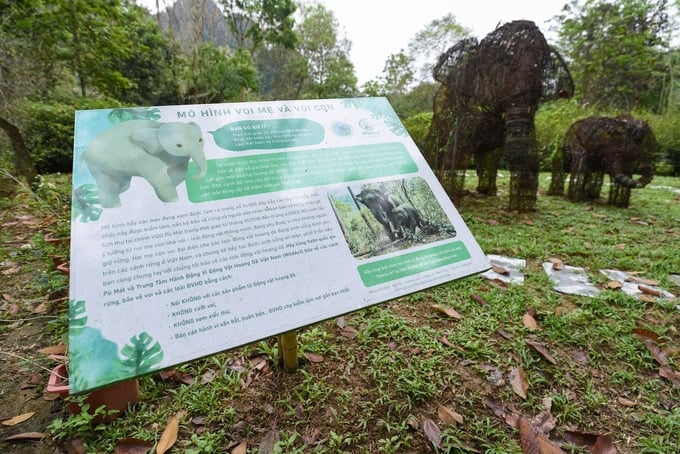 Pa-nô khuyến khích cộng đồng chung tay bảo tồn rừng và động vật hoang dã tại Vườn quốc gia Pù Mát. Ảnh: Tùng Đinh.